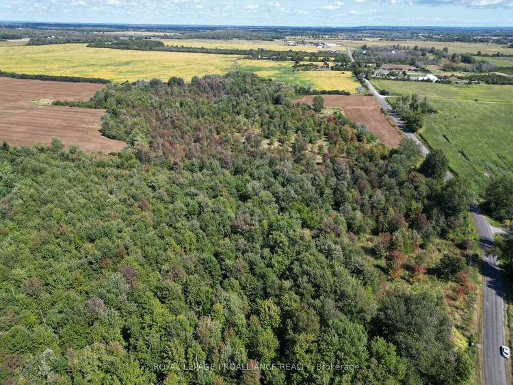 PT LT 5 Swamp College Road, Prince Edward County, ON, Hillier Ward