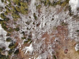 0 Unopened Road Allowance N/A, Hastings, ON , MLS #X12088778 , Image - 1