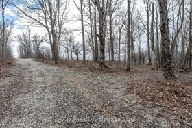 PTLT 29 CON 1S, St. Vincent-Sydenham Townline N/A, Grey County, ON , MLS #X12089013 , Image - 1