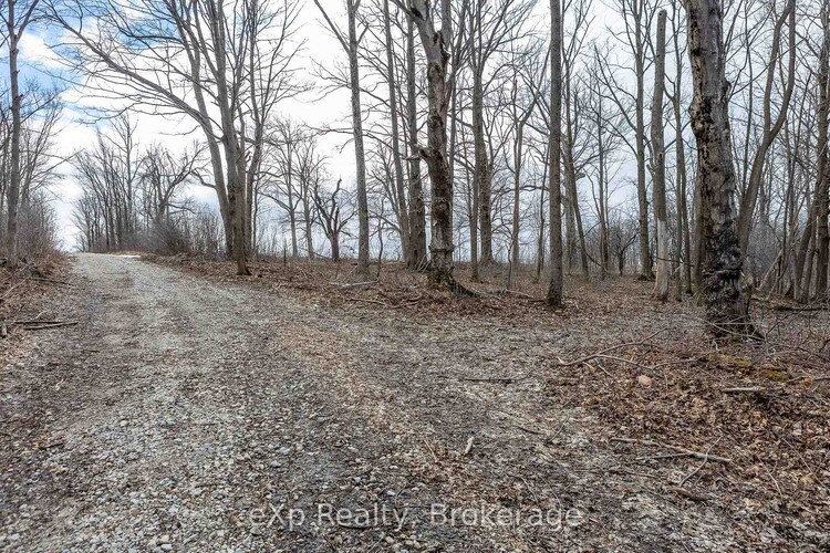 PTLT 29 CON 1S, St. Vincent-Sydenham Townline N/A, Meaford, ON, Meaford