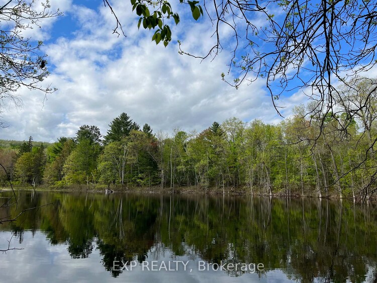 Lot 4 Sandy Shores Trail, Madawaska Valley, ON, 570 - Madawaska Valley