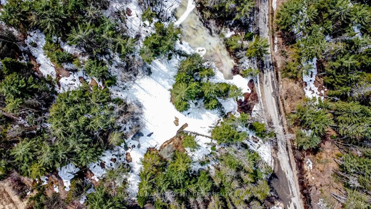 1036 HOPKINS Road, Gravenhurst, ON, Ryde