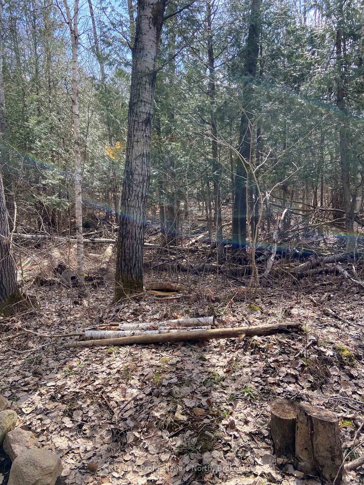 N/A Chelsea Lane, Algonquin Highlands, ON, Stanhope