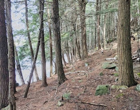88 Louisa Street, Parry Sound, ON , MLS #X13128084 , Image - 1