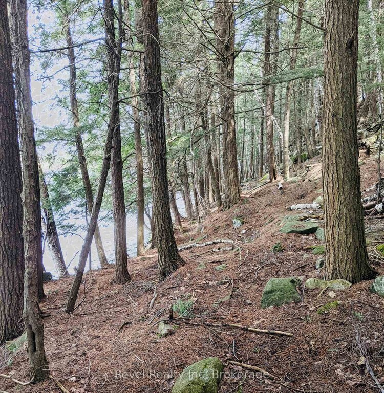 88 Louisa Street, Parry Sound, ON, Parry Sound