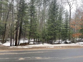 0 Dwight Beach Road, Muskoka, ON , MLS #X12092501 , Image - 1