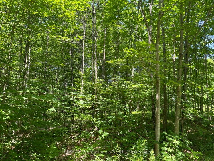 0 Glamor Lake Road, Highlands East, ON, 