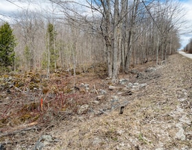 0 4th Line, Grey County, ON , MLS #X12225411 , Image - 1