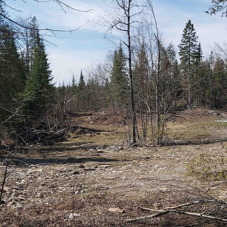 00 Bass Lake Road N, Trent Lakes, ON, Trent Lakes