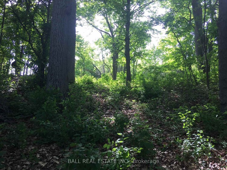 112 Cow Island N/A, Otonabee-South Monaghan, ON, Otonabee-South Monaghan