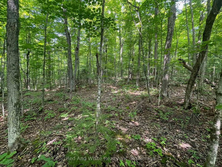 285 Chapman Drive, Magnetawan, ON, Magnetawan