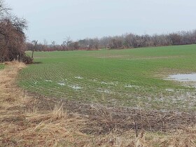 PART OF LOT 1 HIGHWAY 27 N/A, Simcoe, ON , MLS #N12105142 , Image - 1