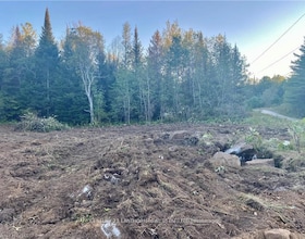 0 Stoney Settlement Road, Hastings, ON , MLS #X12105202 , Image - 1