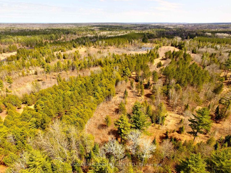 0 Minnie Road, Bonnechere Valley, ON, 560 - Eganville/Bonnechere Twp