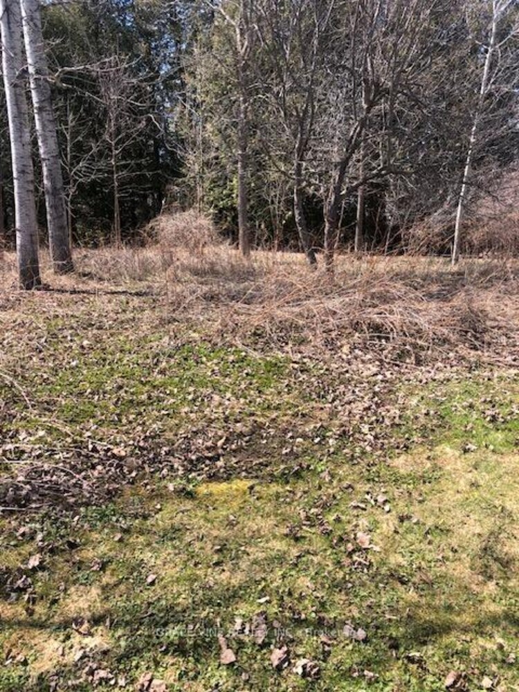 35A Cloverloft Court, Stittsville - Munster - Richmond, ON, 8201 - Fringewood