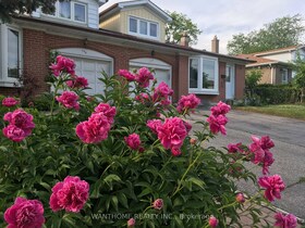 148 Old Sheppard Avenue, Toronto, ON , MLS #C12105833 , Image - 1