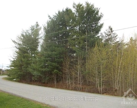 101 William Street, Stormont, Dund, ON , MLS #X13028602 , Image - 1