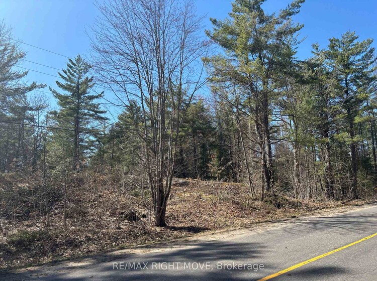 2159 Southwood Road, Gravenhurst, ON, Morrison