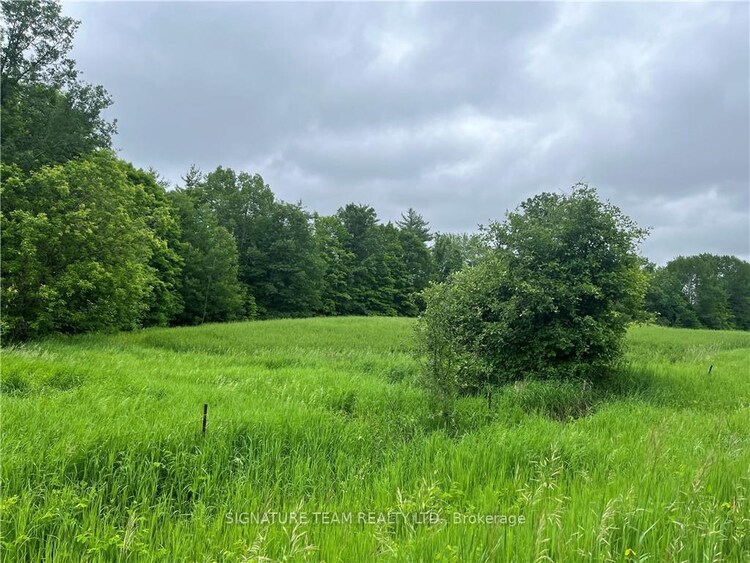 Lot 2 Grants Settelement Road, Whitewater Region, ON, 580 - Whitewater Region