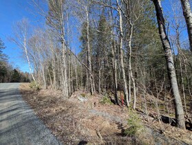 0 BOUNDARY Road, Parry Sound, ON , MLS #X12112019 , Image - 1