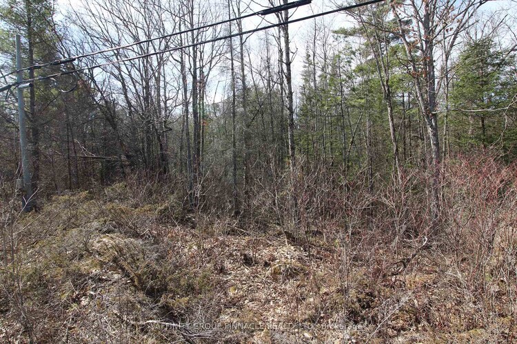 LOT 15 Concession 9 N/A, Trent Lakes, ON, Trent Lakes