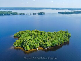 1 Cedar Island N/A, Muskoka, ON , MLS #X12112330 , Image - 1