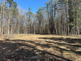 1111 XAVIER Street, Muskoka, ON