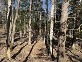 CON 1 PT LOT 12 Barlochan Road, Muskoka, ON , MLS #X12113749 , Image - 1