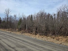 PCL3100 Silverfields Road, Timiskaming, ON , MLS #T12113929 , Image - 1