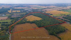 41744 MILL RACE ROAD N/A, Niagara, ON , MLS #X12114796 , Image - 1