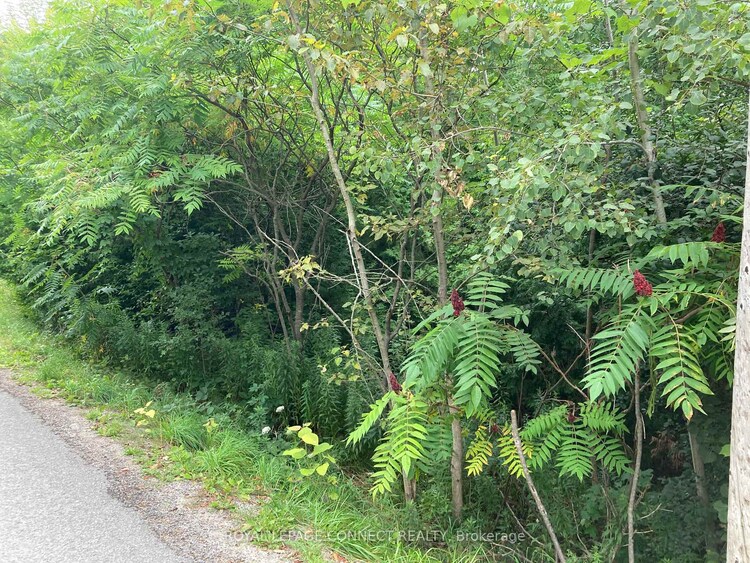 0 Pinecrest Road, Georgina, ON, Pefferlaw