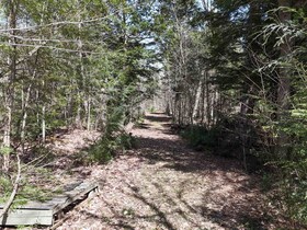 0 Peter Road, Muskoka, ON , MLS #X12115494 , Image - 1