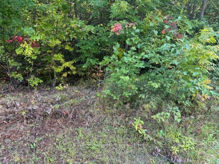 Lot 2 LaPlage Road, West Nipissing, ON, Verner