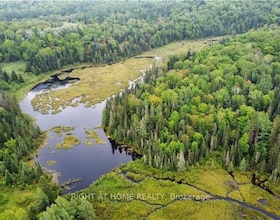 2263 Machar Strong Boundry Road, Parry Sound, ON , MLS #X12502796 , Image - 1