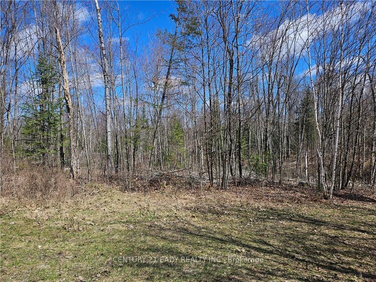 00 DORE BAY Road, North Algona Wilberforce, ON, 561 - North Algona/Wilberforce Twp