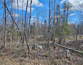 0 DORE BAY Road, Renfrew, ON , MLS #X13152696 , Image - 1