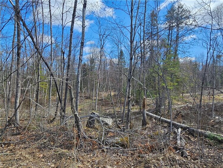 0 DORE BAY Road, North Algona Wilberforce, ON, 561 - North Algona/Wilberforce Twp