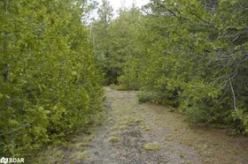308 Ira Lake Road, Bruce, ON , MLS #40647284 , Image - 1