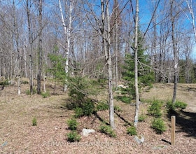 Lot 4 Peninsula Road, Haliburton, ON , MLS #X13470848 , Image - 1