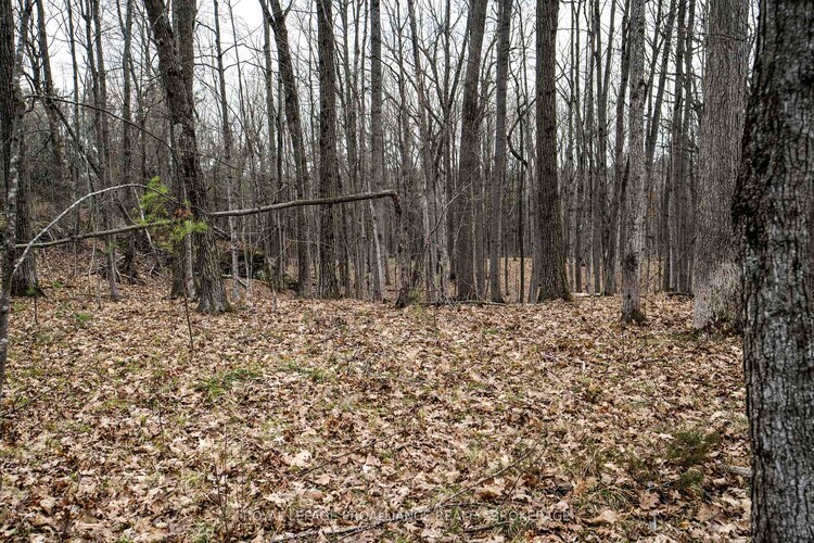 568 Lyndhurst Road, Leeds and the Thousand Islands, ON, 824 - Rear of Leeds - Lansdowne Twp