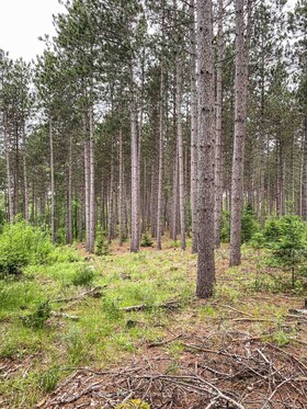 1477 Watsons Corners Road, Lanark, ON , MLS #X12373611 , Image - 1