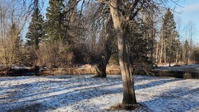 126022 Southgate Road 12 N/A, Grey County, ON , MLS #X12121484 , Image - 1