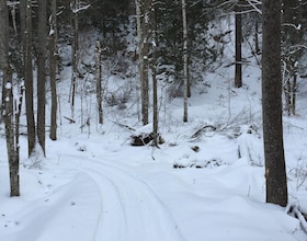 9687 Mississippi River N/A, Frontenac, ON , MLS #X13108078 , Image - 1