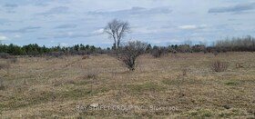 LT24 Con4 Eldon Road, Kawartha Lakes, ON , MLS #X12565108 , Image - 1