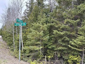 PT LT35 CON 3 WBR PT 77 Concession, Bruce, ON , MLS #X12121926 , Image - 1