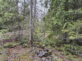 PT LT 1 CON 3 WBR (THIRDLY) Concession, Bruce, ON , MLS #X12121923 , Image - 1