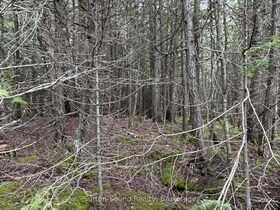 PT LT 1 CON 3 WBR (FIFTHLY) Concession, Bruce, ON , MLS #X12121921 , Image - 1