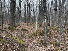 PT LT 9 CON 14 EBR PT 9 Concession, Bruce, ON , MLS #X12121909 , Image - 1