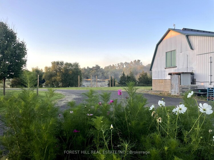 3756 Ninth Street, Lincoln, ON, 980 - Lincoln-Jordan/Vineland