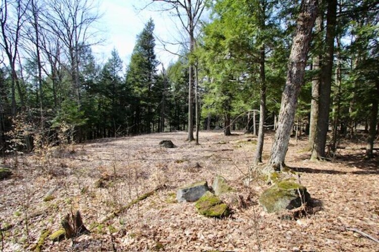 22 Gryffin Bluffs Lane, Huntsville, ON, Brunel